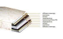 ������ OASIS