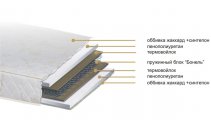 ������ E�ONOMY